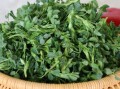 苜蓿芽哪里买（什么季节有苜蓿）