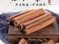 油桂哪里卖（油桂批发）