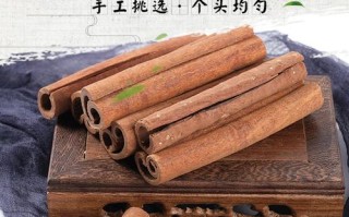油桂哪里卖（油桂批发）