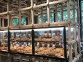 北京原麦山丘食品有限公司怎么样,原麦山丘工作怎么样
