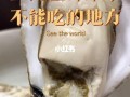 哪里生蚝吃（哪里生蚝生吃最好）
