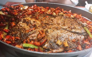 蜀江烤鱼怎么样（蜀江烤鱼怎么样好吃吗）