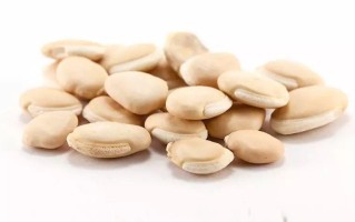 药用白扁豆哪里产的好（小白扁豆与大白扁豆的区别）