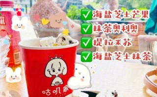 哪里的炒酸奶最好吃（哪里的炒酸奶最好吃最正宗）