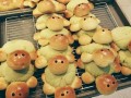 动物面包哪里（动物面包哪里有成品的）
