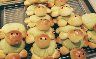 动物面包哪里（动物面包哪里有成品的）