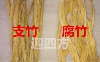 支竹哪里好（支竹为什么叫支竹）