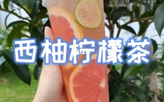西柠茶饮怎么样（有哪些水果饮料）