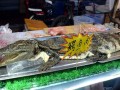 鳄鱼肉哪里好吃（湾鳄好吃吗）