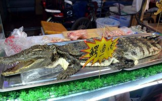 鳄鱼肉哪里好吃（湾鳄好吃吗）