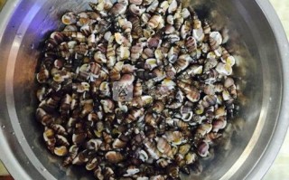 海螺丝哪里能吃（海螺丝正确吃法）