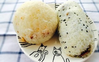 糍米饭 哪里（糍饭和饭团的区别）