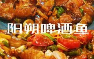 阳朔哪里的啤酒鱼好吃（阳朔西街特产）