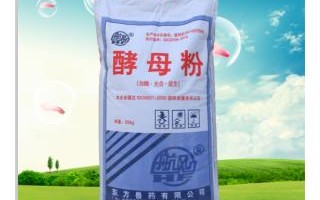 酵母在什么地方买,在哪里可以买到酵母粉
