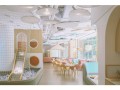 怎么样开亲子餐厅（亲子餐厅基本设施）