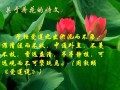 朱自清的荷塘月色描写的是哪里的景色,荷塘月色是哪里的菜
