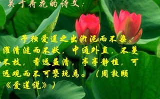 朱自清的荷塘月色描写的是哪里的景色,荷塘月色是哪里的菜