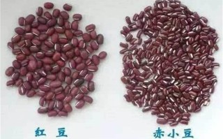哪里赤小豆好（哪里赤小豆好吃）