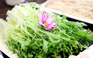 临沂哪里批发蔬菜最便宜,素菜在哪里