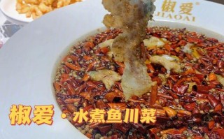 长春哪里的水煮鱼好吃（长春哪家水煮鱼比较好吃）