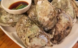 湛江炭烤生蚝哪里好吃（湛江炭烤生蚝哪里好吃啊）