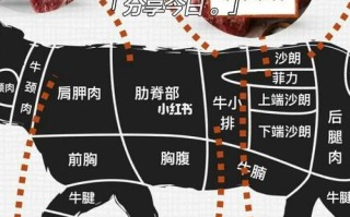 做牛排选哪个部位的肉,牛排要哪里的肉好