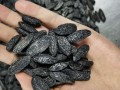 哪里买香草豆（圆西子是什么香料）