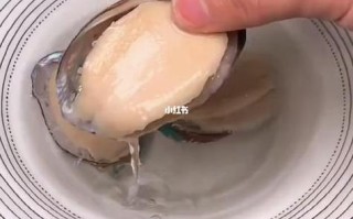 发好的鲍鱼怎么样处理（鲍鱼如何处理）