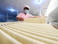开个面条厂怎么样（在乡镇是开小面粉厂还是面条加工作坊好）