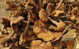 东北哪里产榛蘑（东北哪里产榛蘑最多）