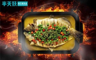 半天妖烤鱼炉不定时跳闸,开心烤鱼
