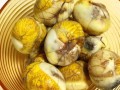南京 活珠子 哪里（南京活珠子哪里有卖的）