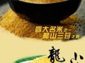 全国最好吃的小米排行,哪里的小米好吃最出名