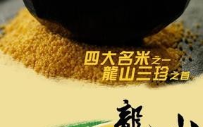 全国最好吃的小米排行,哪里的小米好吃最出名