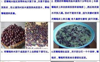 自制葡萄酒放在哪里（自制葡萄酒放在哪里发酵最好）