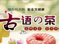 加盟古语的茶怎么样（加盟古语的茶怎么样怎么说）