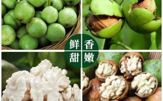 鲜核桃哪里的好吃（鲜核桃哪里的好吃又甜）