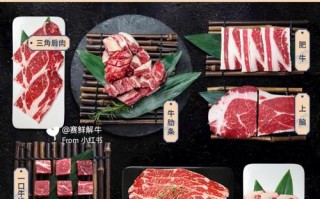 牛肉哪里适合烤肉（牛肉哪里适合烤肉吃）