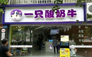 一只酸奶牛加盟费用多少钱,现在开一只酸奶牛怎么样啊