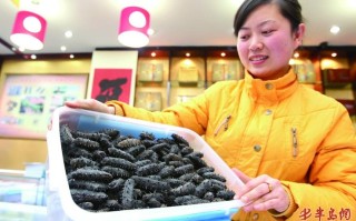 青岛去哪里买海参（青岛卖海参的地方）