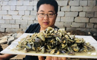 海瓜子吃哪里（哪里的人吃海瓜子）
