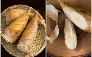 冬笋哪里能吃（竹笋哪些部位能吃）