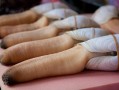 象拔蚌在哪里（象拔蚌在哪里生长）