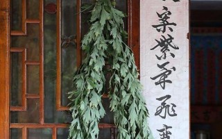 艾蒿挂在屋里还是屋外,艾草放哪里效果最好