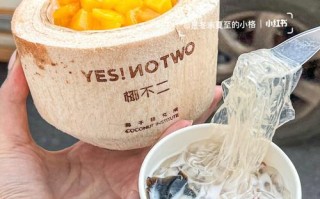 武汉哪里有椰奶冻（想在武汉网上开个店卖椰子,不知可行）