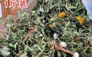 哪里做蒲公英茶（哪里做蒲公英茶最好）