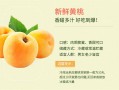 黄桃最好吃的品种排名,哪里黄桃最好吃?