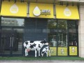在县城开奶牛侠怎么样（在县城开奶牛侠怎么样）