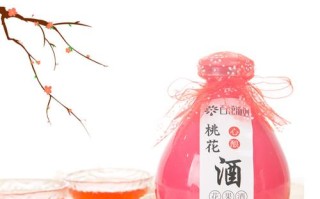 桃花酒哪里的酒（桃花酒哪里的酒好喝）