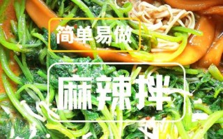 哪里能学麻辣拌（哪里能学麻辣拌技术）